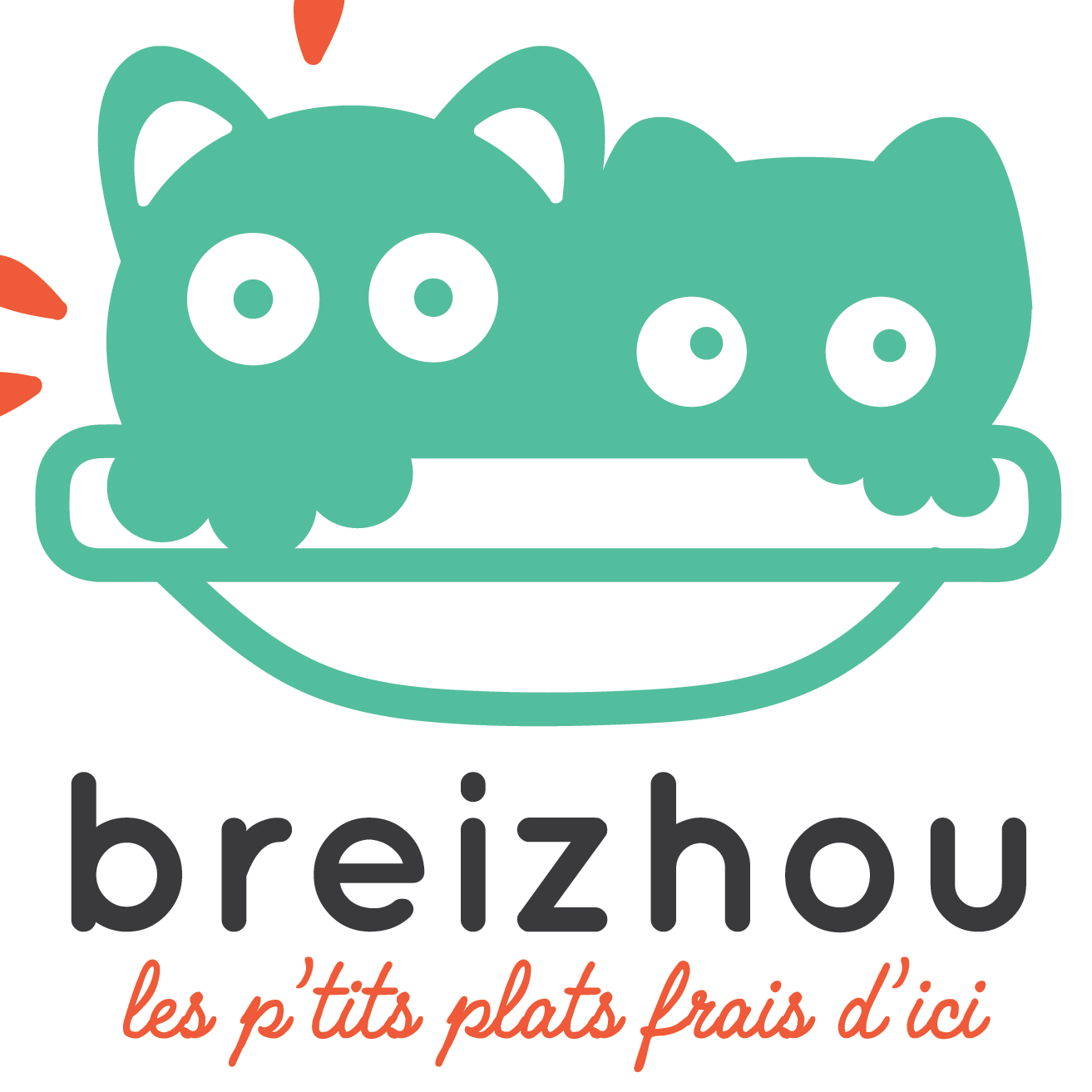 Logo du site Breizhou